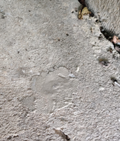 Furatok visszajavítása